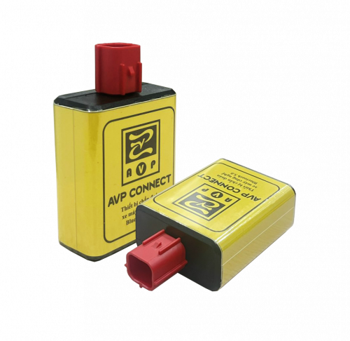 AVP CONNECT BẢN THƯỜNG