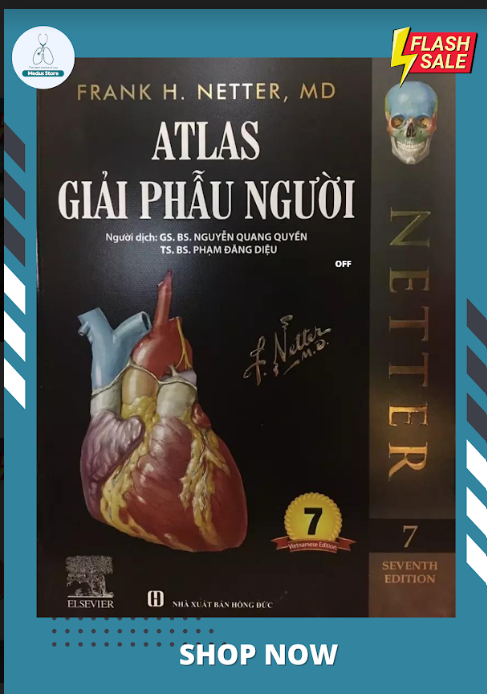 ATLAS GIẢI PHẪU NGƯỜI NETTER