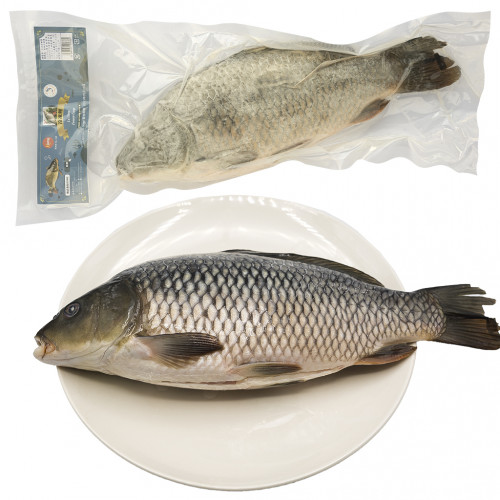 NT06 - Cá chép nguyên con 鯉 (1.0kg~1.3kg/匹）