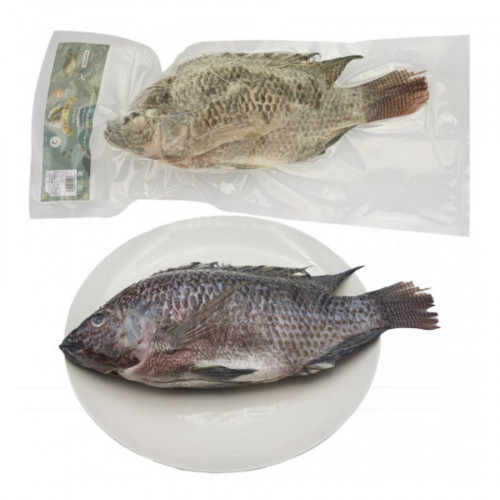 NT04 - Cá Rô phi nguyên con 冷凍ティラピア - 10kg/thùng . Con từ 500g～